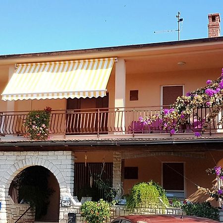 Apartment Taja Ližnjan Dış mekan fotoğraf